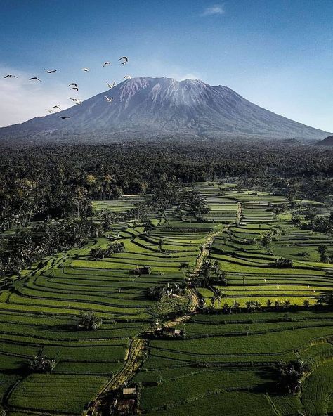 Mount Rainier, Positive Energy, Bali, Good Morning, Around The Worlds, Natural Landmarks, Travel, Instagram