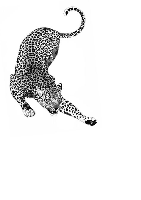 190+ Coolest Jaguar Tattoo Ideas (2023) - TattoosBoyGirl Two Leopards Tattoo, Cheetah Tattoo Thigh, Cheetah Stretching Tattoo, Jaguar Tattoo Simple, 901 Tattoo, Colored Tiger Tattoo, Cheetah Back Tattoo, Leopard Drawing Sketch, Jaguar Outline