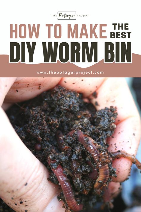 A hand gently holding moist soil containing several earthworms, suggesting the use of organic methods like vermiculture for soil fertility. Vermicomposting Worm Farm, Worm Farm Diy, Worm Tea, Worm Castings Tea, Worm Beds, Worm Composting Bin, Worm Farming, Composting 101, Red Wigglers