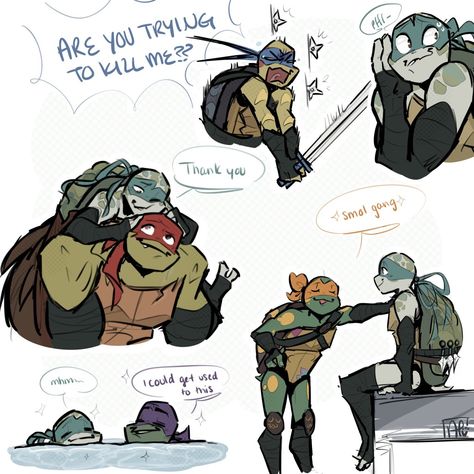 Tmnt Girls, Tmnt Characters, Tmnt Leo, Ninja Turtles Funny, Tmnt Comics, Teenage Mutant Ninja Turtles Artwork, Teenage Mutant Ninja Turtles Art, Ninja Turtles Artwork, Tmnt Artwork