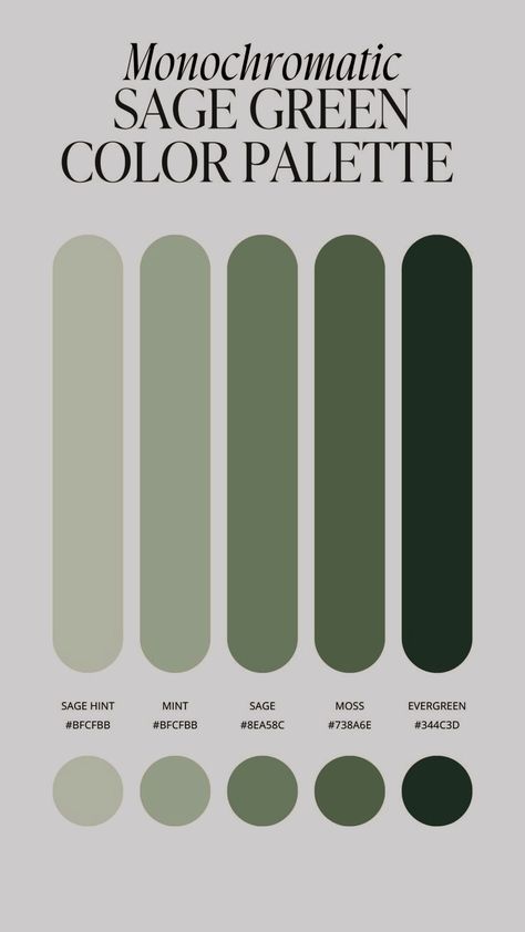 Sage Green Color Palette Grey And Green Walls, Green And Grey Colour Palette, Color Combinations With Green, Sage Green And Dark Blue, Interior Design Portfolio Ideas, Color Palette Sage Green, Green Types, Analogous Color Palette, Sage Green Color Palette