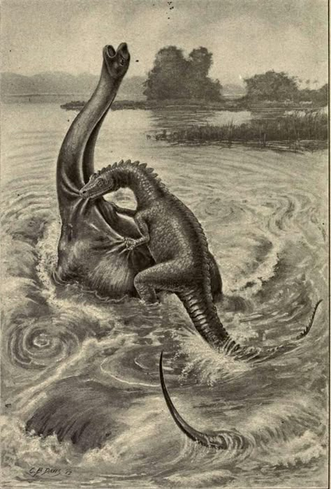 C.B. Davis, 1912 Vintage Dinosaur, Prehistoric Wildlife, Dinosaur Drawing, Prehistoric World, Ancient Animals, Prehistoric Art, Paleo Art, Vintage Mermaid, Extinct Animals