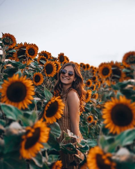 Klara✨ on Instagram: “you are gold baby. solid gold.🌻 1 oder 2?🤷‍♀️ 📷 @rmkhnert__” Sunflower Photos, Sunflower Field Photography, Sunflower Field Pictures, A Field Of Sunflowers, Sunflower Sunset, Field Of Sunflowers, Field Photoshoot, Sunflower Photography, Sunflower Photo