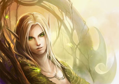 elf - sandra Types Of Elves, Male Elf, Elf Man, Blood Elf, Anime Elf, Elves Fantasy, Half Elf, Warcraft Art, Celtic Music