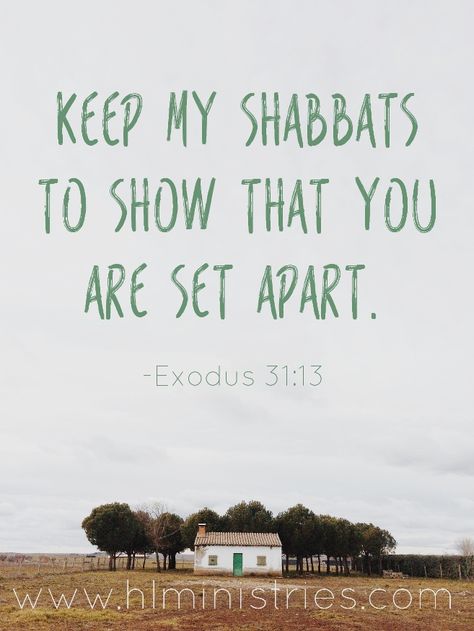 Torah Quotes, Sabbath Quotes, Shabbat Shalom Images, Feasts Of The Lord, Messianic Judaism, Sabbath Rest, Hebrew Roots, Happy Sabbath, Sabbath Day