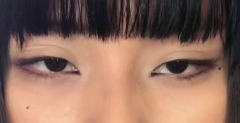 Upturned Monolid Eyes, Asian Downturned Eyes, Downturned Monolid Eyes, Downturned Asian Eyes, Asian Eye Reference, Mole Under Eye Aesthetic, East Asian Eyes, Asian Eyes Aesthetic, Semi Realistic Eyes