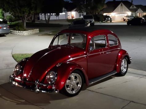 Carros Vintage, Bug Car, Old Vintage Cars, Beetle Car, Volkswagen Bug, Cool Car Accessories, Vw Beetle Classic, Vw Cars, Classy Cars