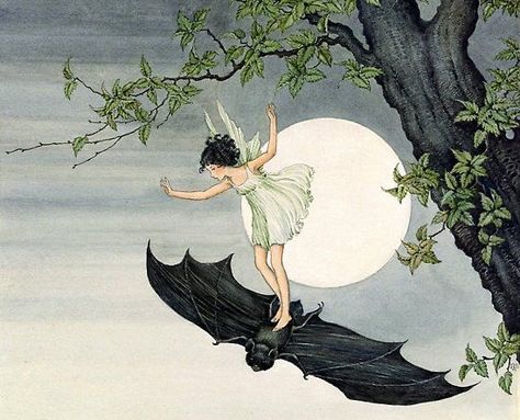 Ida Rentoul Outhwaite, Picnic Spread, Fantasy Book, Woven Blanket, Old Vintage, Wall Decoration, Bat, Lost