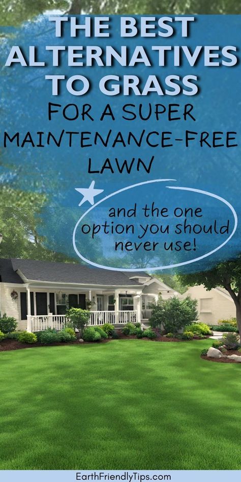 Picture of lush green grass front yard with text overlay The Best Alternatives to Grass for a Super Maintenance-Free Lawn and the One Option You Should Never Use Less Lawn Landscaping, Native Lawn Alternative, Replacing Lawn With Garden, Gardens Without Grass Ideas, Grass Alternatives For Backyard, Grass Substitute Lawn Alternative, Alternative To Grass Lawns, Lawn Alternatives Backyard, Grass Alternative Front Yard