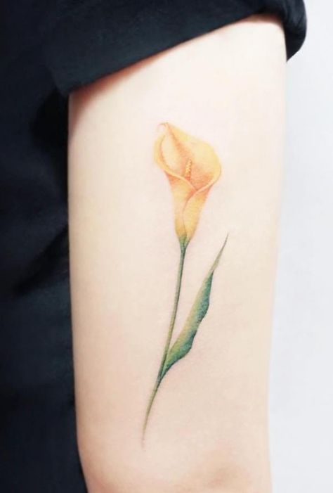 Yellow calla lily tattoo Arum Lily Tattoo, Yellow Flower Tattoos, Lily Tattoo Meaning, Lillies Tattoo, Tattoo Son, Lily Tattoo Design, Lily Flower Tattoos, Flower Tattoo Meanings, Arum Lily