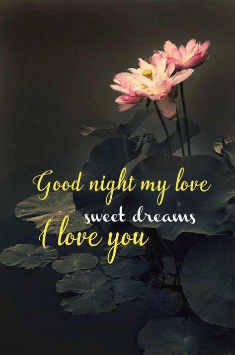 Good Night Love You Dear - DesiComments.com Hello Kitty Good Night, Good Night Darling, Good Night My Love, Night My Love, Good Night Love You, Romantic Good Night Messages, Good Evening Messages, Good Night I Love You, Night Pics