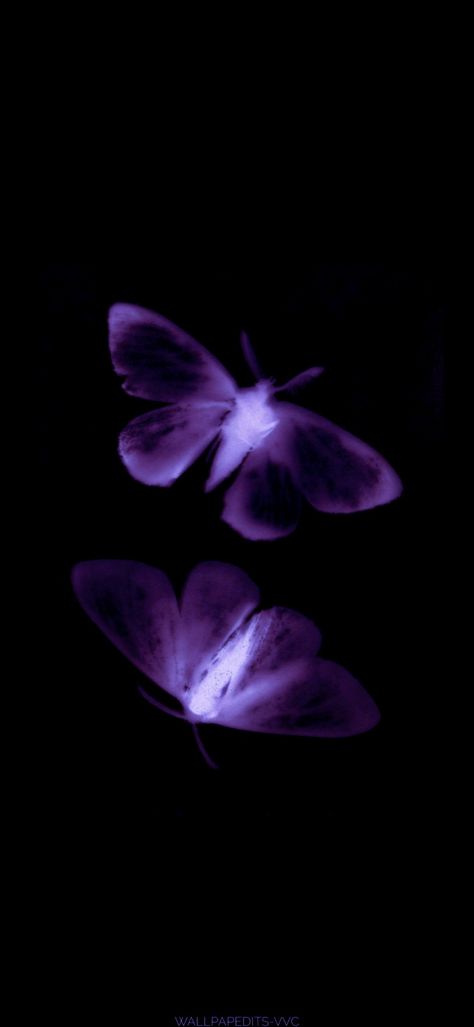 Purple Wallpaper Planet, Purple And Black Iphone Wallpaper, Iphone Wallpaper Purple Dark, Purple Aesthetic Black Background, Dark Purple Butterfly Aesthetic, Lavender And Black Aesthetic, Home Screen Layout Iphone Purple, Morpho Wallpaper, Black And Purple Homescreen