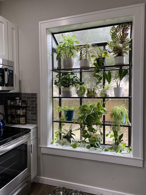 Indoor Plant Hanging Ideas Window, Bathroom Garden Window, Big Window Sill Decor, Plants On Window Sill Aesthetic, Plant Shelves In Window, Window Privacy Ideas Plants, Plant Window Ideas, Bathroom Window Plants, Plants Kitchen Window