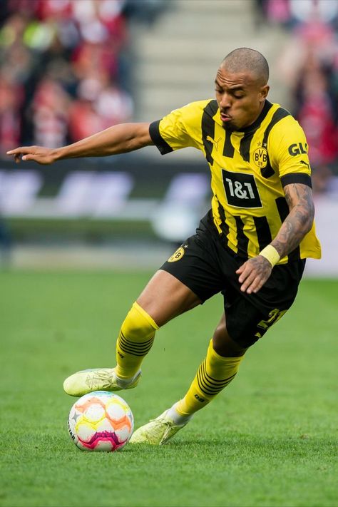 Donyell Malen trägt auf diesem Pin in der #Bundesliga das BVB Heimtrikot der Saison 2022/23 Borussia Dortmund, Football Soccer, Sport Event, Celebrity Crush, Sports Jersey, Soccer, Football, Photographer, Sports