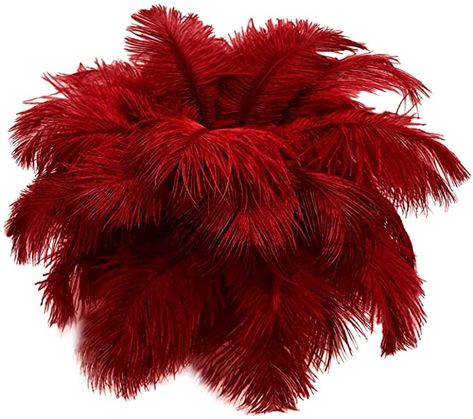 Amazon.com: Moonlight Feather | 1/2 Lb. - 9-13" Red Dyed Ostrich Body Drab Wholesale Feathers (Bulk) Gatsby Centerpiece Carnival Supply Feathers Craft, Bulk Craft Supplies, Wispy Hair, Feather Centerpieces, Feather Wedding, Feather Crafts, Red Feather, Carnival Costumes, Party Centerpieces