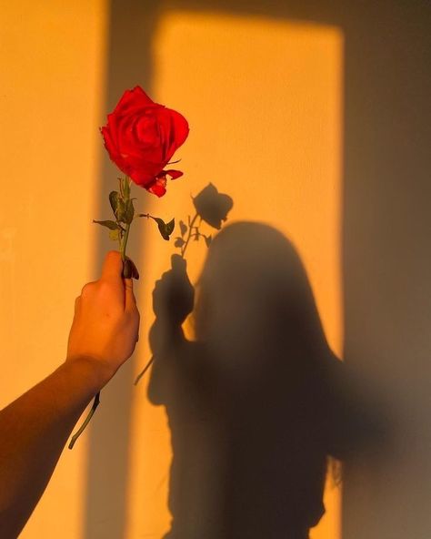 My Shadow, Travel Wanderlust, The Shadow, My Heart, Beautiful Flowers, Wall, Travel