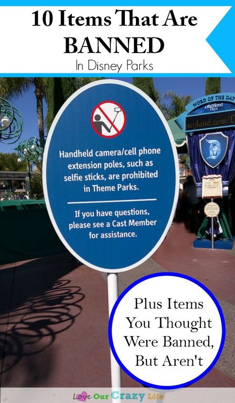 If you are heading to a Disney Park, don't get stuck at security by bringing items banned at Diseny. Here is a list of 10 items that are not permitted in the parks, plus a few items you have heard are banned- but really aren't. Disney List, Disneyland Tips, Disneyland Vacation, Disney Trip Planning, Disney Family Vacation, Disney Vacation Planning, Disney Travel, Disney World Planning, Vacation Tips