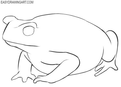 How to Draw a Toad | Easy Drawing Art How To Draw Toad, Toad Drawing Easy, Toad Inktober, Toad Sketch, Toad Drawing, Mural Art Ideas, Sketch Book Inspiration, Whiteboard Art, Wall Drawings