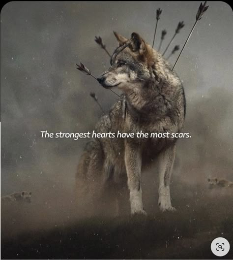 Lone Wolf Quotes, Lion Quotes, Animal Spirit Guides, Wolf Quotes, Deep Meaningful Quotes, Wolf Spirit Animal, Strong Mind Quotes, Self Inspirational Quotes, Beautiful Wolves