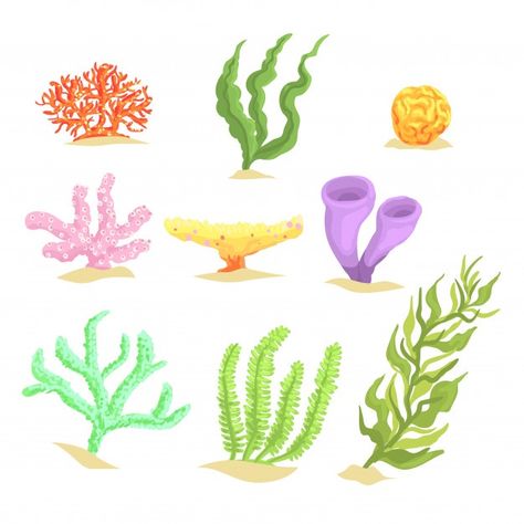 Conjunto de dibujos animados de plantas ... | Premium Vector #Freepik #vector #agua #verde #naturaleza #azul Sea Plants Underwater, Cartoon Underwater, Underwater Cartoon, Underwater Background, Plant Cartoon, Underwater Plants, Plant Clips, Marine Algae, Jungle Illustration