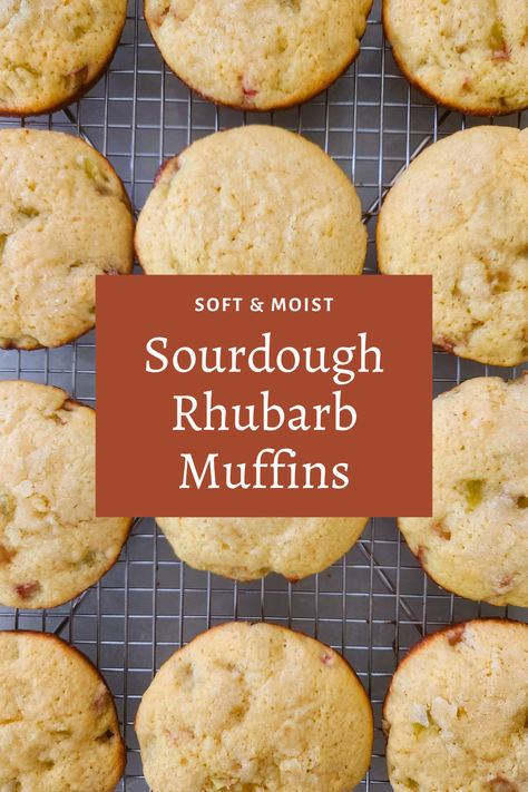 Sourdough Rhubarb Muffins Recipe (with Discard) Sourdough Rhubarb, Discard Muffins, Sourdough Discard Muffins, Rhubarb Muffins Recipe, Rhubarb Muffins, Vegan Muffins, Sweet Muffin, Sourdough Discard, Quick Snack