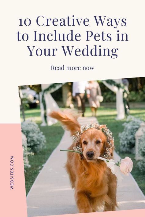 Ways To Incorporate Pets In Wedding, Pet Friendly Wedding Ideas, Ways To Include Dog In Wedding, Include Dog In Wedding, Ways To Incorporate Dogs In Wedding, Cat In Wedding, Pet Wedding Ideas, Dog In Wedding, Funny Anecdotes