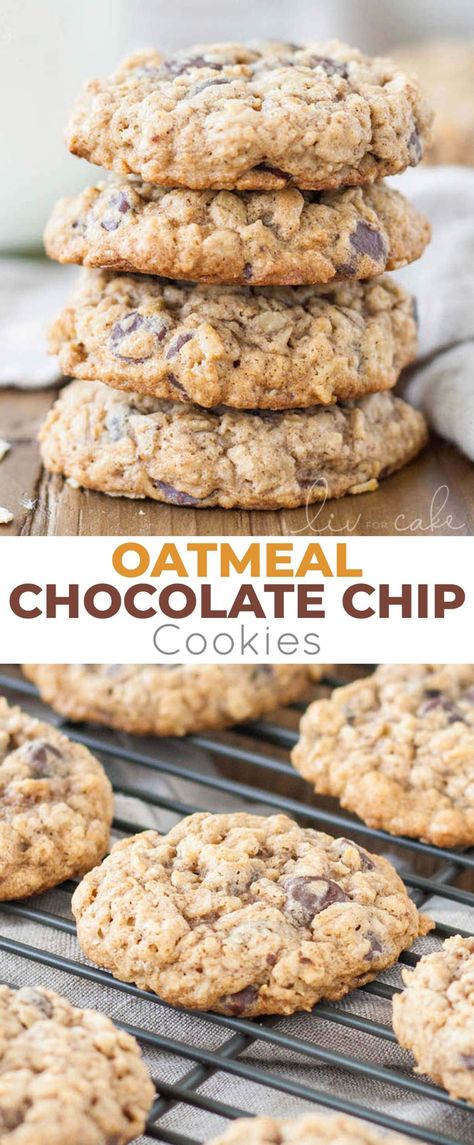 The only oatmeal cookie recipe you will ever need! Soft and chewy oatmeal chocolate chip cookies loaded with oats and chocolate chips! | livforcake.com Paula Dean Loaded Oatmeal Cookies, Nestle Toll House Oatmeal Chocolate Chip Cookies, Chocolate Cup Oatmeal Cookies, Pioneer Woman Oatmeal Cookies, Crumbl Oatmeal Chocolate Chip Cookies, Oat Cookies Chocolate Chip, Quick Oatmeal Chocolate Chip Cookies, Quick Oats Chocolate Chip Cookies, Stevia Oatmeal Cookies