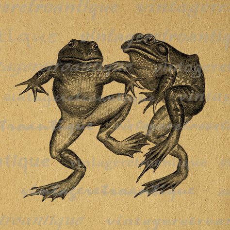 Frog People, Frog Artwork, Frog Printable, Turtle Frog, Frosch Illustration, Image Graphic, Frog Illustration, Printable Animals, Antique Illustration