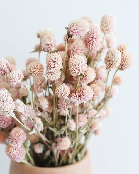 Wildflower Bridal Bouquets, Globe Amaranth, Silk Flowers Wedding, Amaranth, Dried Floral, Dried Flower Bouquet, Dried Flower Arrangements, Flower Farm, How To Preserve Flowers