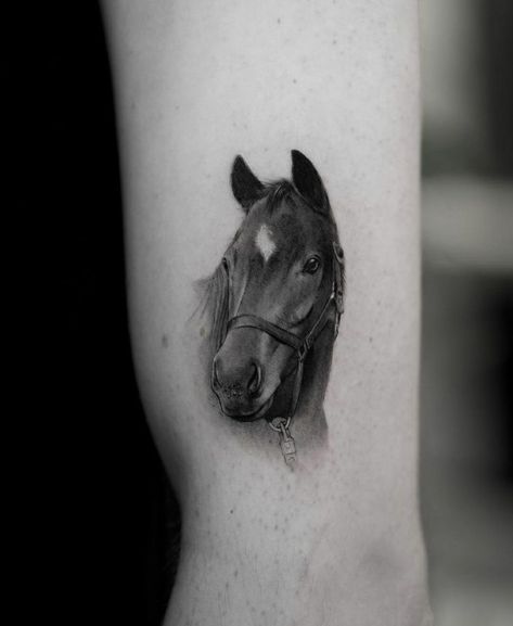 Horse Finger Tattoo, Horse Portrait Tattoo, Face Tattoo On Arm, Horse Face Tattoo, Memorial Horse Tattoo, Hand Tattoo Simple, Black Horse Tattoo, Equine Tattoo, Small Horse Tattoo