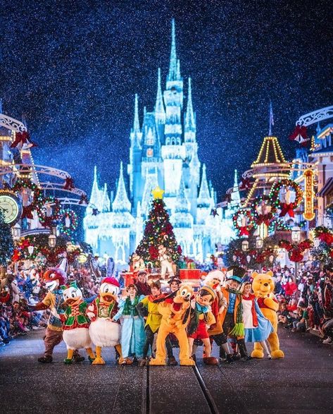 The Magical Lifestyle on Instagram: “Quite possibly the most magical of all Christmas photos at The Magic Kingdom ever!!! Awesome shot by @somewareatdisney . . #photography…” Disney Park Aesthetic, Mickeys Christmas Party, Best Places In Florida, Fat Tuesday Party, Fall In Love Quotes, Disney World Christmas, Funny Morning Pictures, Disneyland Tickets, Christmas Displays