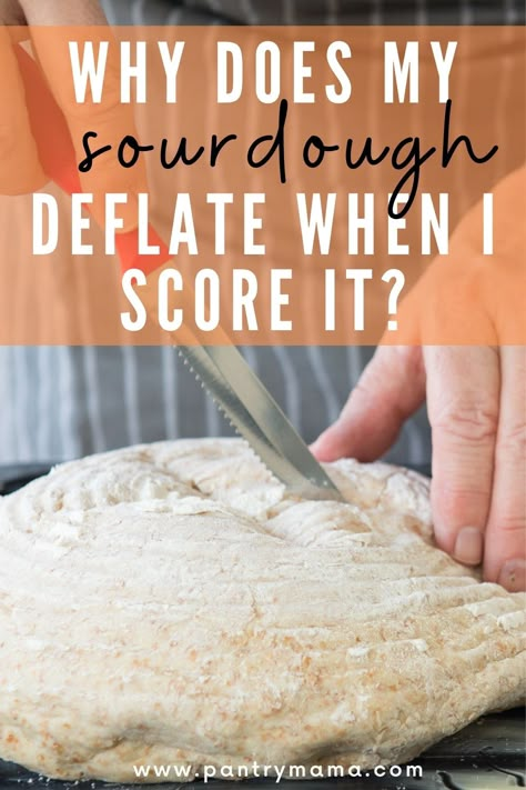 Sour Dough Bread Scoring, Sourdough Carving, Sourdough Lamination, Sourdough Proofing Chart, Beginner Sourdough Scoring, Under Proofed Sourdough, Shaping Sourdough Bread, Sourdough Problems, Recipes With Sourdough Bread