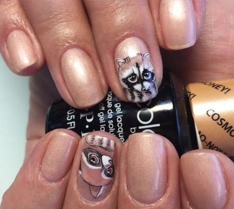 Raccoon Nails, November Nails, Hippie Nails, Animal Nails, Trendy Nail, Trendy Nail Art, Nail Arts, Cute Acrylic Nails, Gel Color