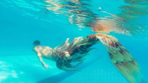 Acid Gifdump, June 02, 2015 (25 gifs) Golden Mermaid Tail, Lionfish Mermaid, Golden Mermaid, Realistic Mermaid, Silicone Mermaid Tails, Mermaid Photography, Mermaid Man, Mermaid Images, Siren Song