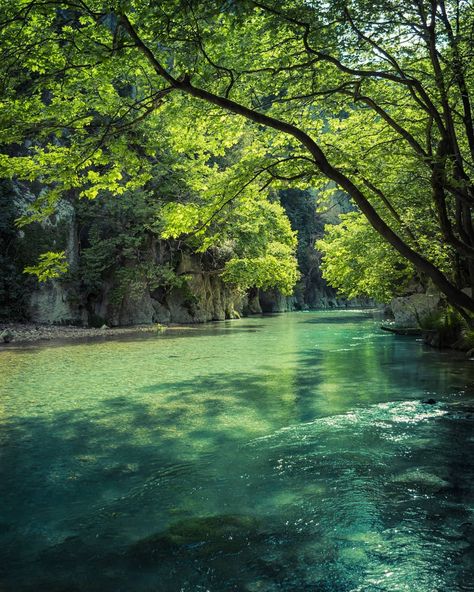 The crystal clear waters of Acheron springs Need Peace, Protect Your Peace, Lost River, Clear Spring, Dream World, Aesthetic Green, Nature Table, Creative Pictures, In The Jungle