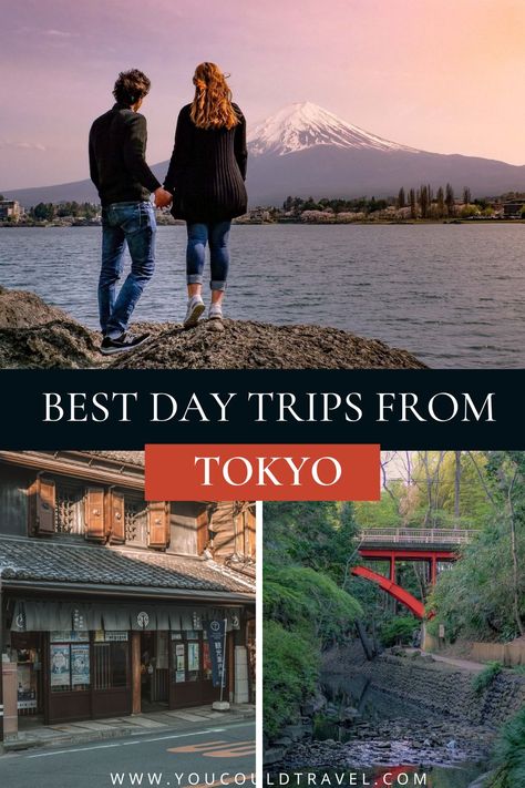 14 Best Day trips from Tokyo – You Could Travel Lake Kawaguchiko, Hitachi Seaside Park, Beauty Of Japan, Day Trips From Tokyo, Tokyo Station, Hakone, Tokyo Disney, Tokyo Disneyland, Kamakura