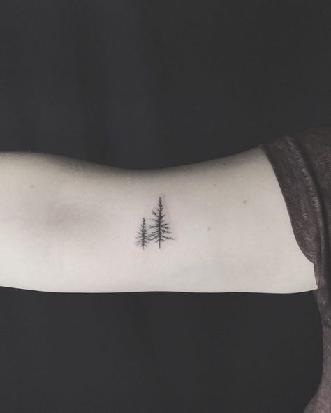 North Woods Tattoo Ideas, Mens Nature Tattoo Simple, Mini Pine Tree Tattoo, Pretty Tree Tattoo, Tree Symbol Tattoo, Grounding Tattoos For Women, Small Wilderness Tattoo, Sitka Spruce Tattoo, Minimalistic Tree Tattoo