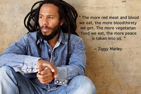 Ziggy Marley on meat Stephen Marley, Marley Family, Love Is My Religion, Ziggy Marley, Reggae Artists, Mandalay, Signed Photo, All Music, Love Can