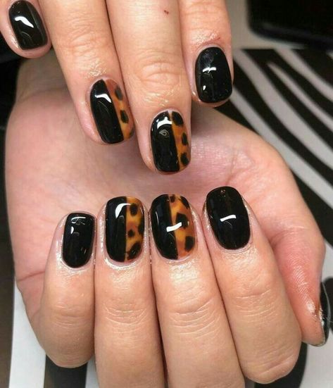 Tortoise Shell Nails, Shell Nails, Special Nails, Short Gel Nails, Fall Gel Nails, Ombre Acrylic Nails, Pretty Nail Designs, Nail Art Ombre, Cute Gel Nails