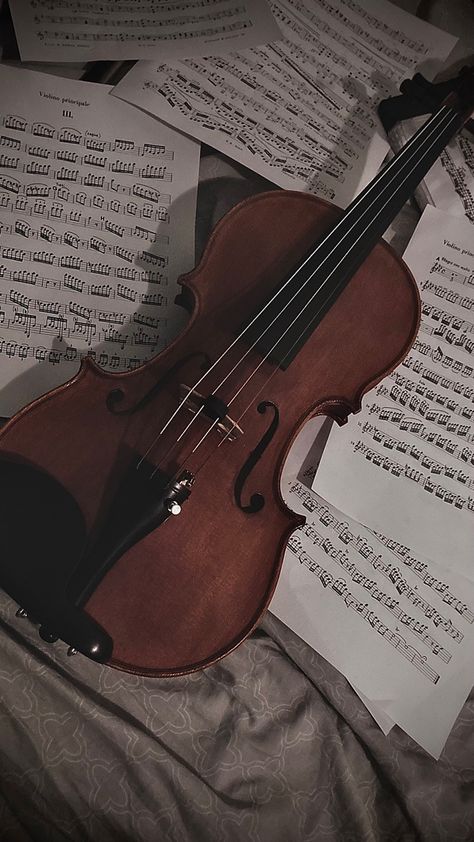 (My picture) 18th Century Aesthetic, Victorian Era Aesthetic, Violin Pics, Black Violin, Blood Wallpaper, Classic Fantasy, Violin Art, Violin Design, Learn Violin