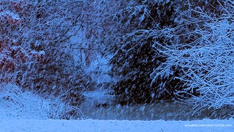 Snow Gif, Animated Banners, I Love Winter, Banner Gif, Snowy Day, Aesthetic Gif, Winter Aesthetic, Christmas Aesthetic, Cute Gif