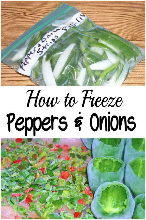 Save time and money by prepping peppers and onions for the freezer. Grow your own and buy a bunch when they are on sale. haphazardhomemaker.com Freeze Bell Peppers, How To Freeze Peppers, Freezing Green Peppers, Freeze Peppers, Freezing Produce, Freeze Vegetables, Freezing Bell Peppers, Green Pepper Recipes, Freezing Peppers