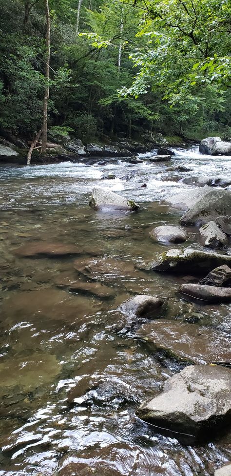 Little River Lakes And Rivers, Flowing Water Aesthetic, Aesthetic River Pictures, Rivers Picture, River Side Landscape, Rivers Aesthetic, River Pics, Creek Aesthetic, River Aesthetic