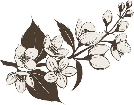 Jasmine Jasmine Tattoo, Wildflowers Tattoo, Flower Tattoo Stencils, Flower Tattoo Drawings, Tattoo Flowers, Beautiful Flower Tattoos, Flower Tattoo Sleeve, Tattoo Desings, Flowers Tattoo