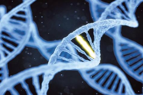 Genome editing represents the next step of evolution in our ability to analyse and edit the genetics of plants, animal and humans Genetic Diseases, Precision Medicine, Human Genome, Gene Therapy, Genetic Mutation, Gene Expression, Genetic Testing, Integrative Medicine, Human Brain