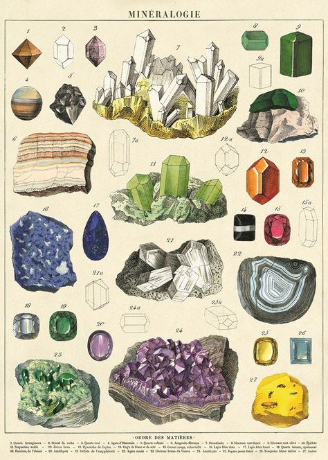 Cavallini Mineralogie Paper: Amazon.co.uk: Kitchen & Home Sport Posters, Hippie Tapestry, Boho Tapestry, Room Posters, Paper Decorations, Retro Poster, Tapestry Wall Hanging, Vintage Illustration, Wall Collage