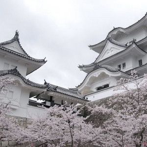 Nonbinary Aesthetic, Indigo Aesthetic, Japan Temple, Cherry Blossom Trees, Japan Aesthetic, Aesthetic Japan, Gray Aesthetic, Winter Scenery, Korean Aesthetic