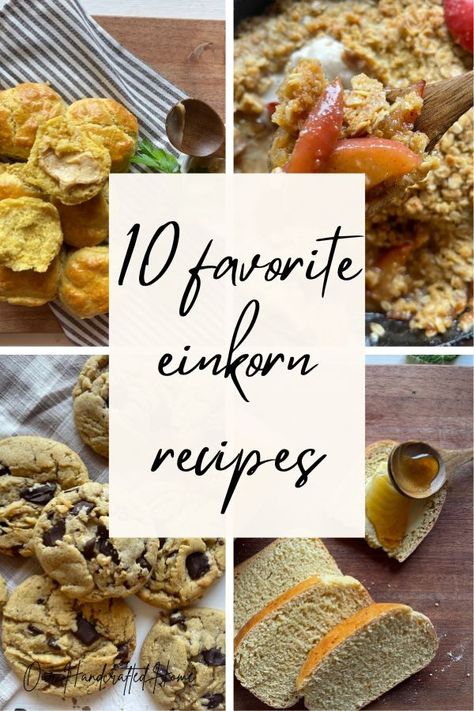 A Complete Guide to Einkorn Flour + Easy Beginner Recipes! Easy Beginner Recipes, Einkorn Bread, Beginner Baker, Easy And Quick Recipes, Mini Blueberry Muffins, Einkorn Recipes, Chocolate Chip Pecan Cookies, Beginner Recipes, Skillet Chocolate Chip Cookie