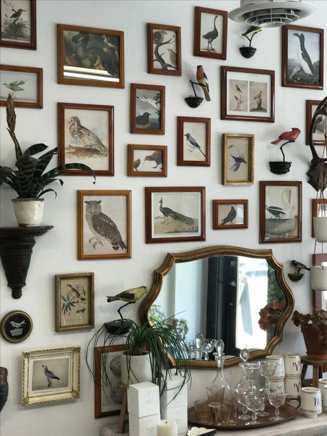 Bird Gallery Wall Art, Animal Gallery Wall, Wall Birds Decor, Bird Room Decor, Rock Gallery Wall, Bird Gallery Wall, Natural History Decor, Nature Gallery Wall, Bird Room Ideas