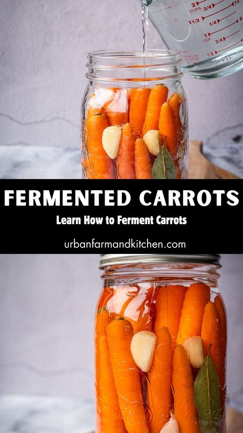 Save this recipe to one of your Pinterest Boards! This easy Fermented Carrots recipe serves as an excellent introduction to the world of fermentation. Whether you're a novice or a seasoned fermenting enthusiast, this post covers all the essentials, including equipment and safety tips.
​
​ Fermented Carrots, Salt Brine, Fermenting Weights, Fresh Carrots, Pickling Salt, Homemade Jams, Fermented Cabbage, Carrots Recipe, Fermentation Recipes